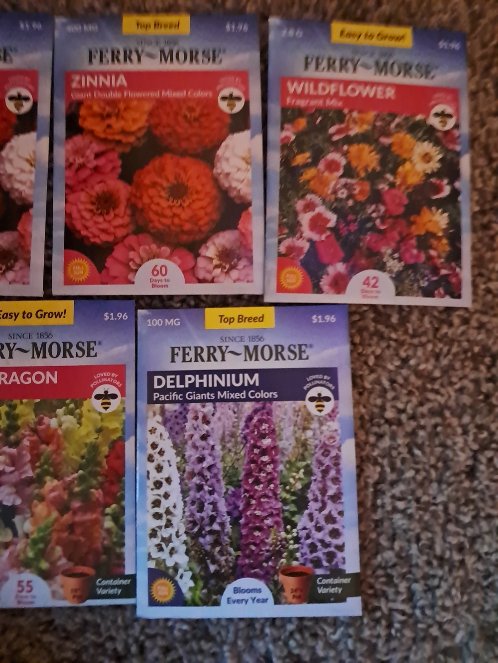 Ferry-Morse Delphinium & Flower Seed Packets - Mixed Colors